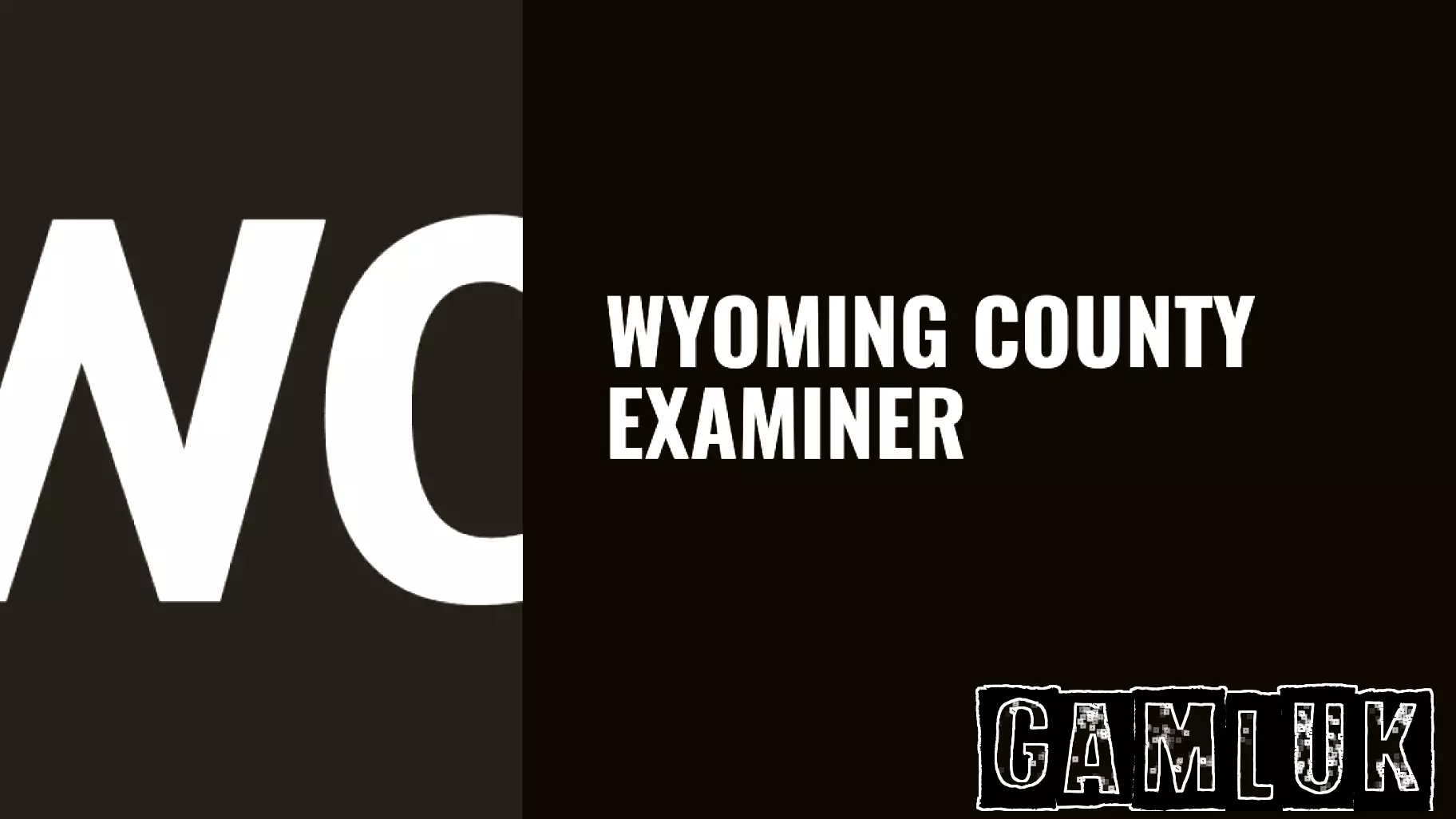 A look at a couple of movies based on popular video games