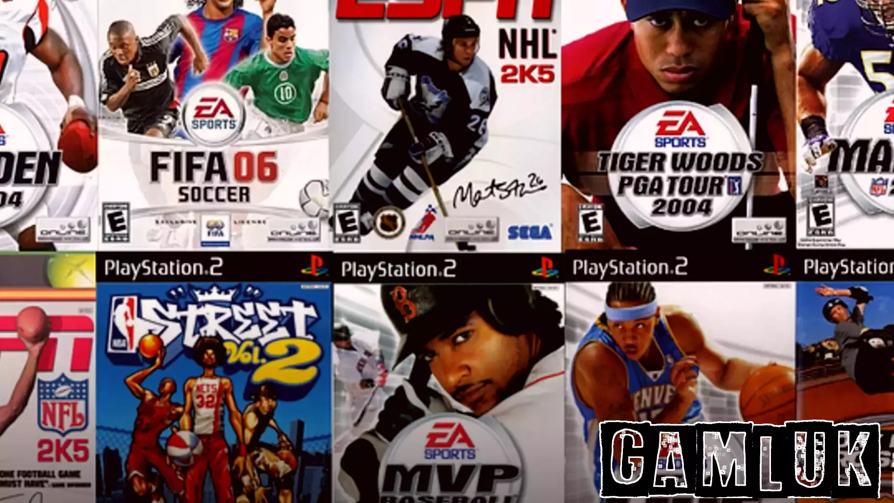 The Paradox of Sports Video Gaming