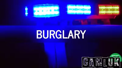 Local Woman Charged in Video Game Console Burglary